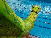 AquaFun Soest - Schlangenrutsche FunAconda sorgt für Action am Sportbecken